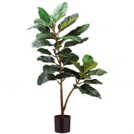 allpf113 planta ficus real artificilal en maceta p