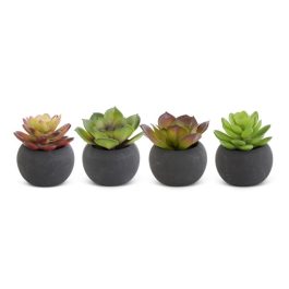 K16656A PLANTITAS SUCULENTA EN MACETA NEGRA ARTIFI