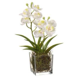 LFO2367WH PLANTA ORQUIDEA PHALAENOPSIS CON MACETA