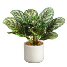 LPC975GR PLANTA CALATEA ARTIFICIAL EN MACETA CERAM