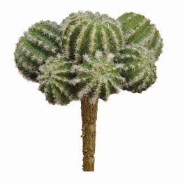 CC2152GR RAMA CACTUS ARTIFICIAL