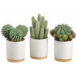 LQS620GR1 CACTUS ARTIFICIAL EN MACETITA BLANCA CER