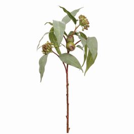 PSE027GR RAMA EUCALIPTO CON SEMILLAS VERDE ARTIFIC