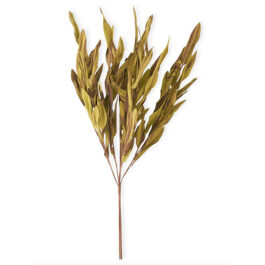 13477A RAMA DE HOJA DE EVA MARRON