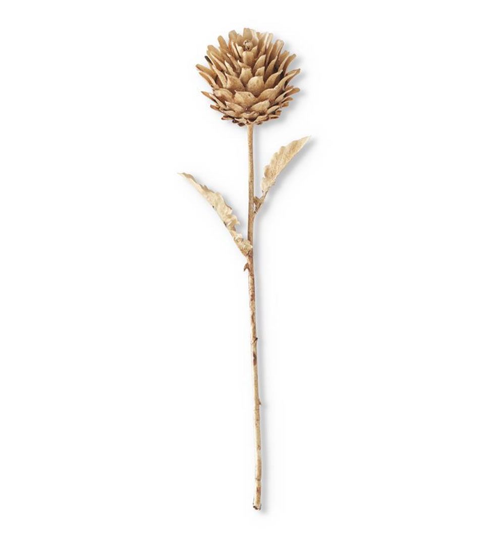 RAMA ALCACHOFA MARRON