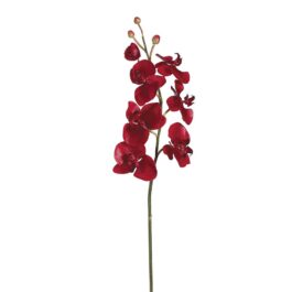 SHO826RE RAMA PHALAENOPSIS ARTIFICIAL