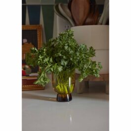 AD4372622 VASOS DECORATIVOS VIDRIO