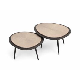 SM128M MESA TRIANGULAR FORMA DE HOJA COLOR CHAMPAGNE MEDIANA